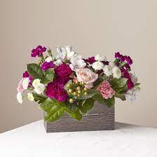 Maybe you would like to learn more about one of these? Fresh Fields Flower Delivery North Fort Myers Fl North Fort Myers Florist