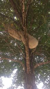 Explore tweets of peluk @bantal_guuling on twitter. Imadean Imadean8686 Twitter