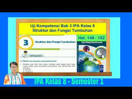 Berikut hal yang perlu dijaga ketika merawat hewan agar tetap sehat, kecuali …. Uji Kompetensi 3 Ipa Kelas 8 Bab 3 Struktur Dan Fungsi Tumbuhan Hal 149 152 Semester 1 Youtube