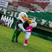 O brasiliense futebol clube é um clube de futebol brasileiro, sediado na cidade de taguatinga, no distrito federal. Casados E Tunantes Conheca As Mascotes Da Tuna E Vote Para Escolher O Nome Do Casal Tuna Luso Ge