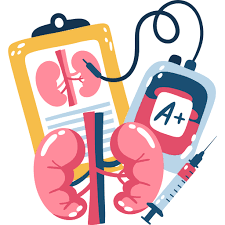 We would like to show you a description here but the site won't allow us. Kidneys Stickers Free Healthcare And Medical Stickers
