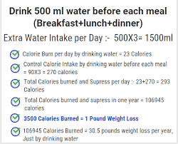 How Much Water You Should Drink A Day To Lose Weight