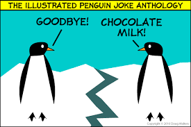 Penguin Jokes 002 Two Penguins One Iceberg