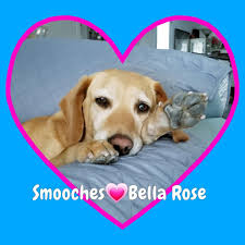 Kathy Bowman Obituary (1956