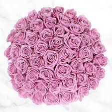 Codes (3 months ago) costco is now offering free 2 day delivery so you can skip the in filoli code long and mcquade. 50 Stem Purple Roses Costco