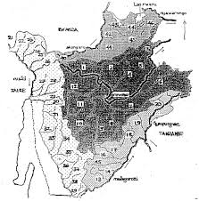 Image result for Pycreus mundtii