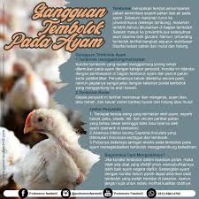 Maybe you would like to learn more about one of these? Gangguan Tembolok Ayam Cek Penyebabnya Podomoro Poultry Equipment