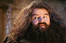 Nerd House's Magical Yule Ball