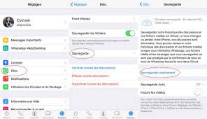 Comment Recuperer Les Conversations Whatsapp Sur Iphone