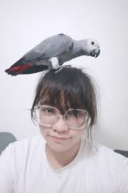 Good morning from leila