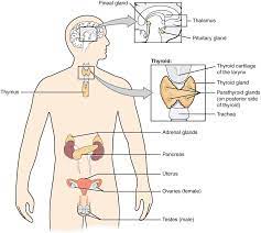Pin On Health Beauty
