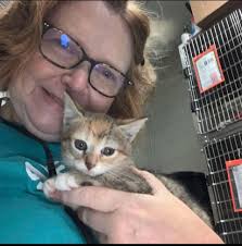 Knightdale High hires two assistant principals