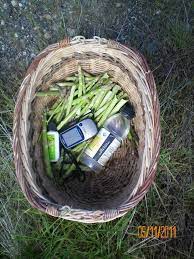 We did not find results for: Foraging Wild Spring Foods Utah Stories