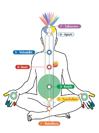 File Chakrachart Png Sahaja Yoga Encyclopedia