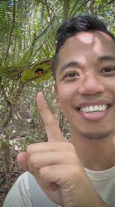 Only in the #Philippines 🫶🏼🐵, —, The smallest primates about the size of  a tennis ball are known as the #Tarsiers which are endangered species and a  limited number live in the wild. This is a ...