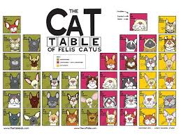 The Cat Table Poster Features 40 Cat Pedigree Breeds Recognized By The Cat Fanciers Association In The Championship Class The Cat Arte Com Gatos Gatos Felinos