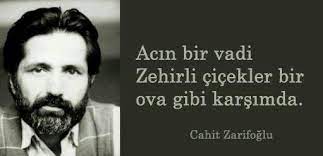 acin bir vadi zehirli cicekler bir ova gibi karsimda cahit zarifoglu sozler anlamlisozler guzelsozler manalisozler ozlu guzel soz alinti sozler siir
