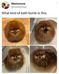 Btr branz lupa mematikan mic hingga akhirnya ada skandal yang menyangkutnya. 47 Yeontan Ideas Bts Taehyung Taehyung Bts Dogs