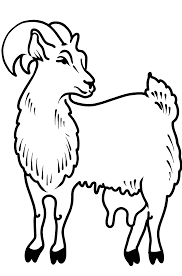 We did not find results for: Goat Coloring Page Color Online For Free