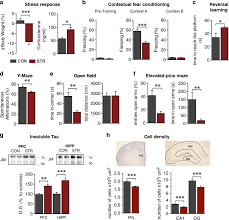 Directory of profiled business people: Dysregulation Of Autophagy And Stress Granule Related Proteins In Stress Driven Tau Pathology Cell Death Differentiation