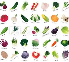 Check spelling or type a new query. Can Rabbits Eat Zucchini Vet Explains Pets