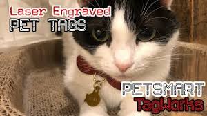 With a wide range of customizable name tags to choose from, you can protect your pet stylishly with his information engraved on the id. Review 15 Laser Engraved Pet Tags Petsmart Tagworks I Love Them 4k Youtube