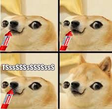 Последние твиты от dogecoin memes (@dogecoinmemes). Create Comics Meme Gif Doge Meme Doge Wow Doge Roblox Comics Meme Arsenal Com