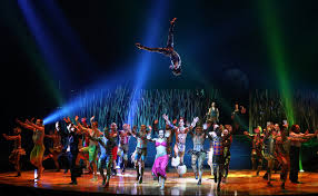 Cirque Du Soleil Soobshil Ob Ugroze Bankrotstva Iz Za Koronavirusa Biznes Rbk