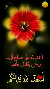 Pin By Lelean On ترحيب In 2020 Islamic Pictures Morning Wish Good Morning