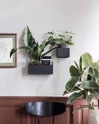 rond rechthoekig voor aan de muur of in de vensterbank er is altijd wel een plantenbak die past in jouw interieur roun wall boxes ferm living living wall