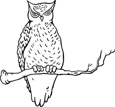Scopri ricette, idee per la casa, consigli di stile e altre idee da provare. Gambar Lukisan Burung Hitam Putih Cikimm Com