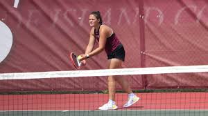 Image result for Emilia hockii