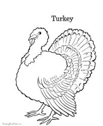 Go search our collection or take a look at our random and recent coloring pages or simply browse our coloring pages collection using. Thanksgiving Turkey Coloring Pages
