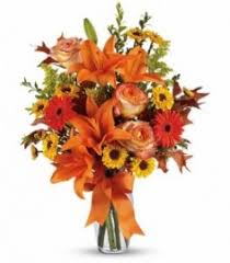 Download free books in pdf format. Holidays Enchanted Florist Of Cape Coral Cape Coral Fl