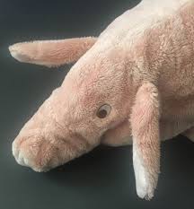 Ikea Knorrig Pig Plush Lovey Stuffed Animal Lifelike Realistic Pink Toy Ebay Pig Plush Animals Vintage Plush