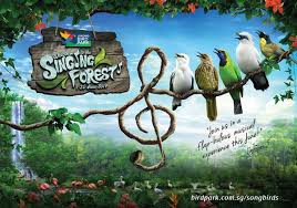 Visit the largest bird park in asia, jurong bird park, for an entrancing bird watching experience meet and interact with thousands of birds at asia's largest bird paradise, jurong bird park. Discover And Experience The Singing Forest Jurong Bird Park Bykido