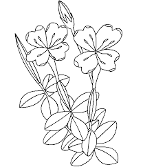 Home » bunga sepatu » manfaat bunga » manfaat bunga sepatu untuk pengobatan tradisional. Mewarnai Bunga Kamboja Paimin Gambar