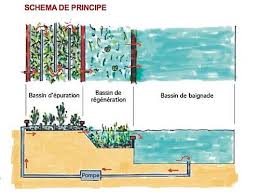 Valorisez vos espaces de le filtre biologique centré autour de l'interaction entre des plantes épuratrices sélectionnées et des bactéries. Epingle Par Petra Labajova Sur Homey Spaces Piscine Naturelle Piscine Biologique Piscine Ecologique