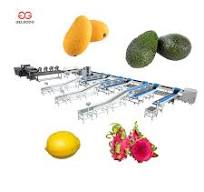 Industrial Fruit Processing Sorting Machine for Citrus Dates Papaya Banana