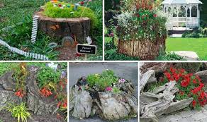 Had an amazing experience with happy tree. 15 Amazing Tree Stump Ideas Gardening Soul
