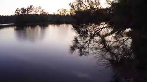 Make lake of the springs rv campground your home away from home. Camp Lake Jasper Good Sam Rv Park Hardeeville Sc Youtube