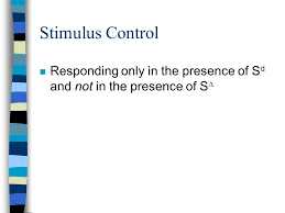 Chapter 6 Learning And Behavior Learning N A More Or Less Permanent Change In Behavior That Results From Experience Ppt Download