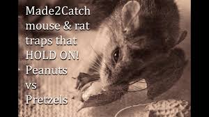 Ideal for trapping and capturing rat, mice and other large rodents. Made 2 Catch Rat And Mouse Traps Bait Tips No False Triggers Indoor Outdoor Youtube