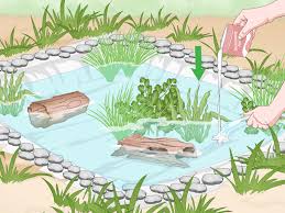 Well written and easy to read. How To Build A Frog Pond With Pictures Wikihow