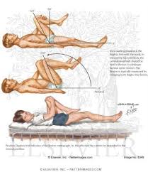 Pin On Physed