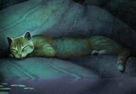 This is a list of cats who currently are or have been a member of thunderclan. Leafpool Cats Animals Background Wallpapers On Desktop Nexus Image 1145096