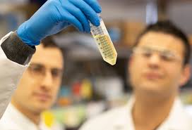 Newly Authorized Covid 19 Antibody Treatment May Be Available Soon On Li Northwell Health