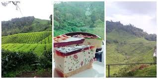 Di bahagian bawah hotel ada restoran kelantan. Ladang Teh Boh Cameron Highland Tempat Penginapan