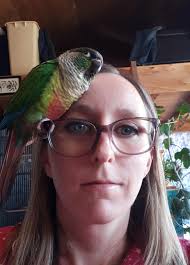 Should Winslow update its emblem?