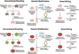 This has been done indirectly for thousands of years by controlled, or selective, breeding of plants and animals. Japanese Consumers More Concerned About Gene Editing Of Livestock Than Of Vegetables Survey Shows